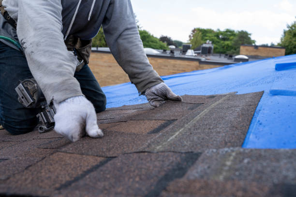 Best Chimney Flashing Repair  in Bartow, FL